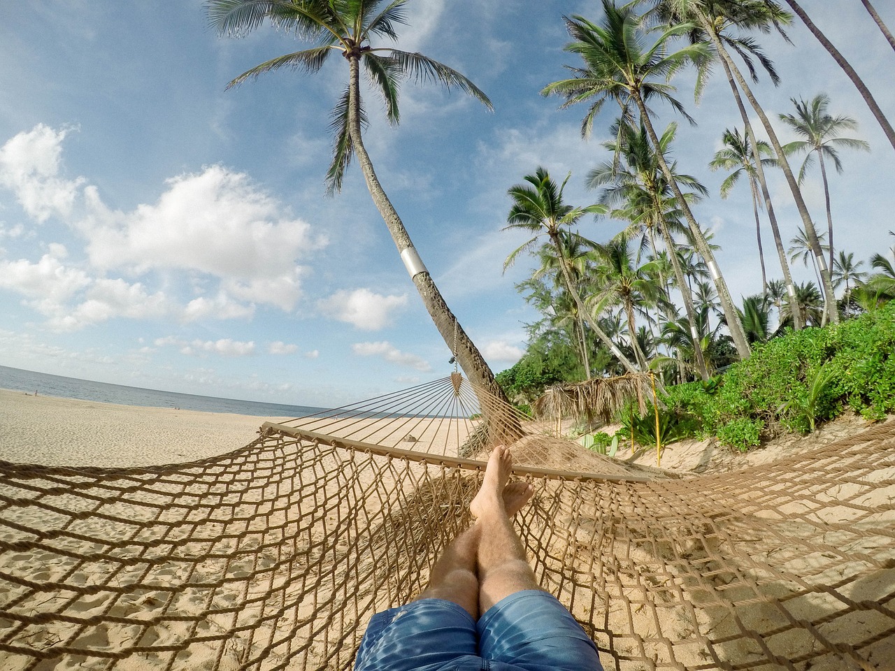 Ziekte en vakantie; 5 antwoorden